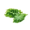 Kale Leaf
