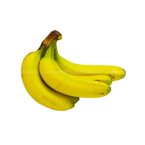 Dwarf Cavendish Banana