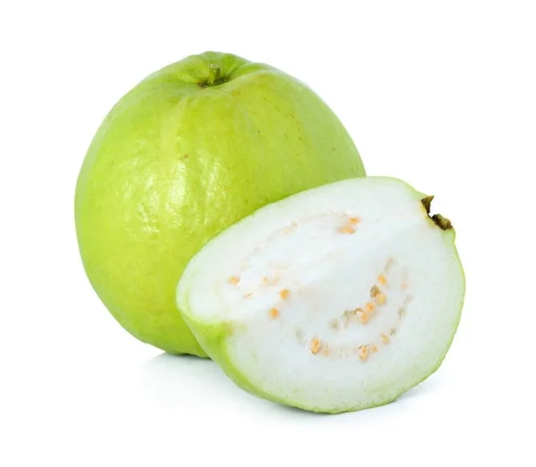 Allahabad Safeda Guava