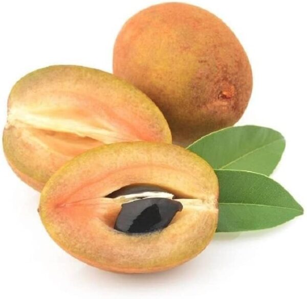 Sapota