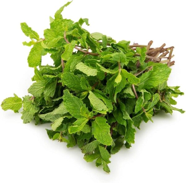 Mint leaves – Pudina