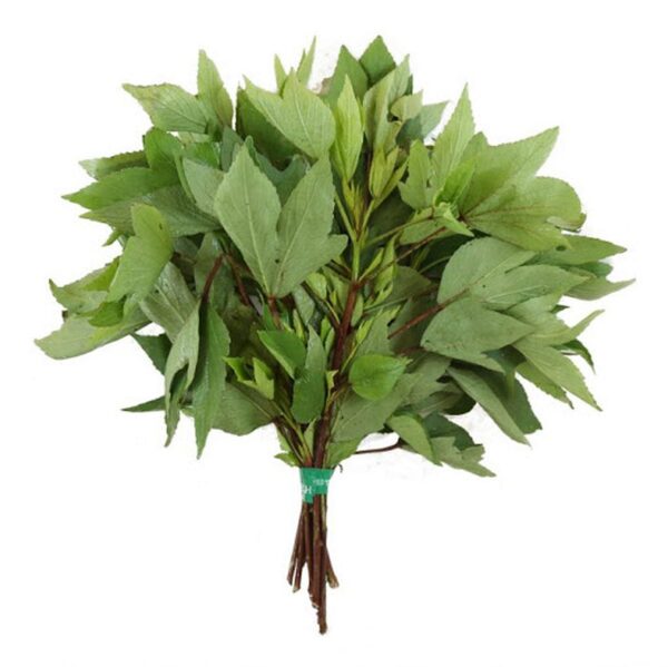 Gongura leaves