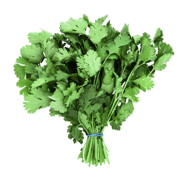 Coriander leaves – Dhania