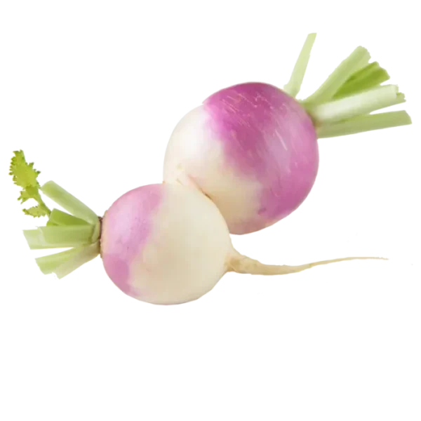 Turnip
