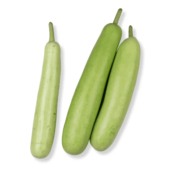 Bottle gourd – Lauki / Doodhi