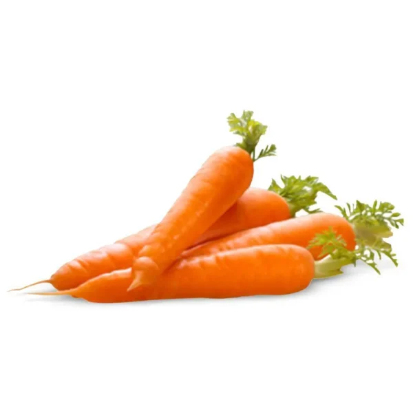 Orange Carrot