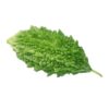 Bitter gourd – Karela