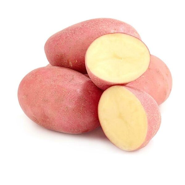 Red Potato